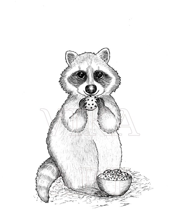 Hungry raccoon coloring pagekids coloringcute animal coloring