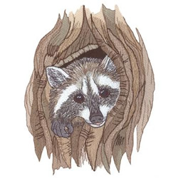 Raccoon embroidery design