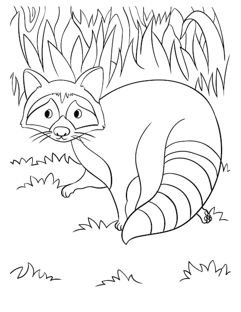 Premium vector racoon coloring page for kids