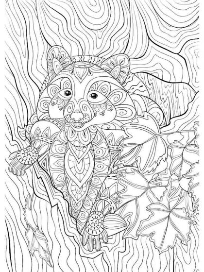 Raccoon coloring pages for adults