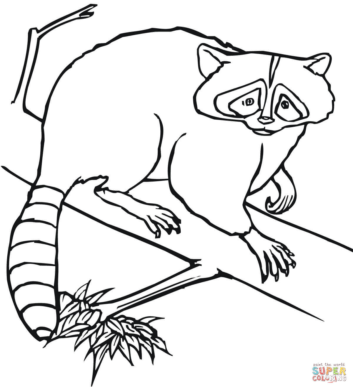 Raccoon sits on a tree coloring page free printable coloring pages