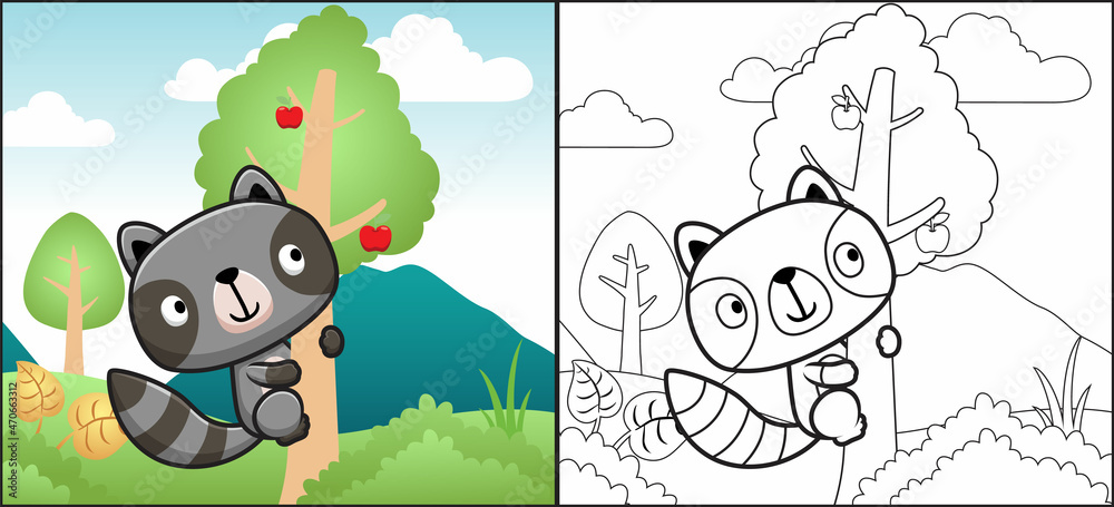 Coloring book or page of raccoon cartoon climbing fruit tree in forest vector