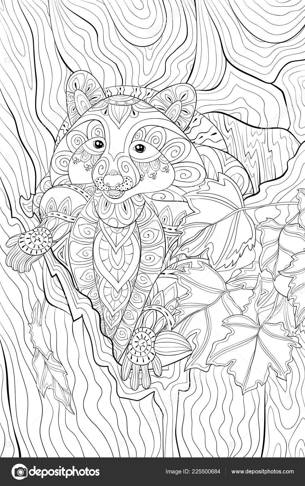 Adult coloring book page cute raccoon tree image relaxing zen stock vector by nonuzza