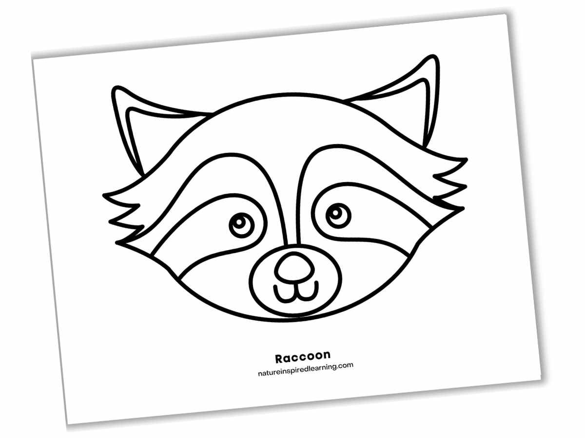 Raccoon coloring pages