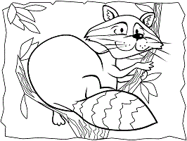 Raccoon coloring pages and printable activities