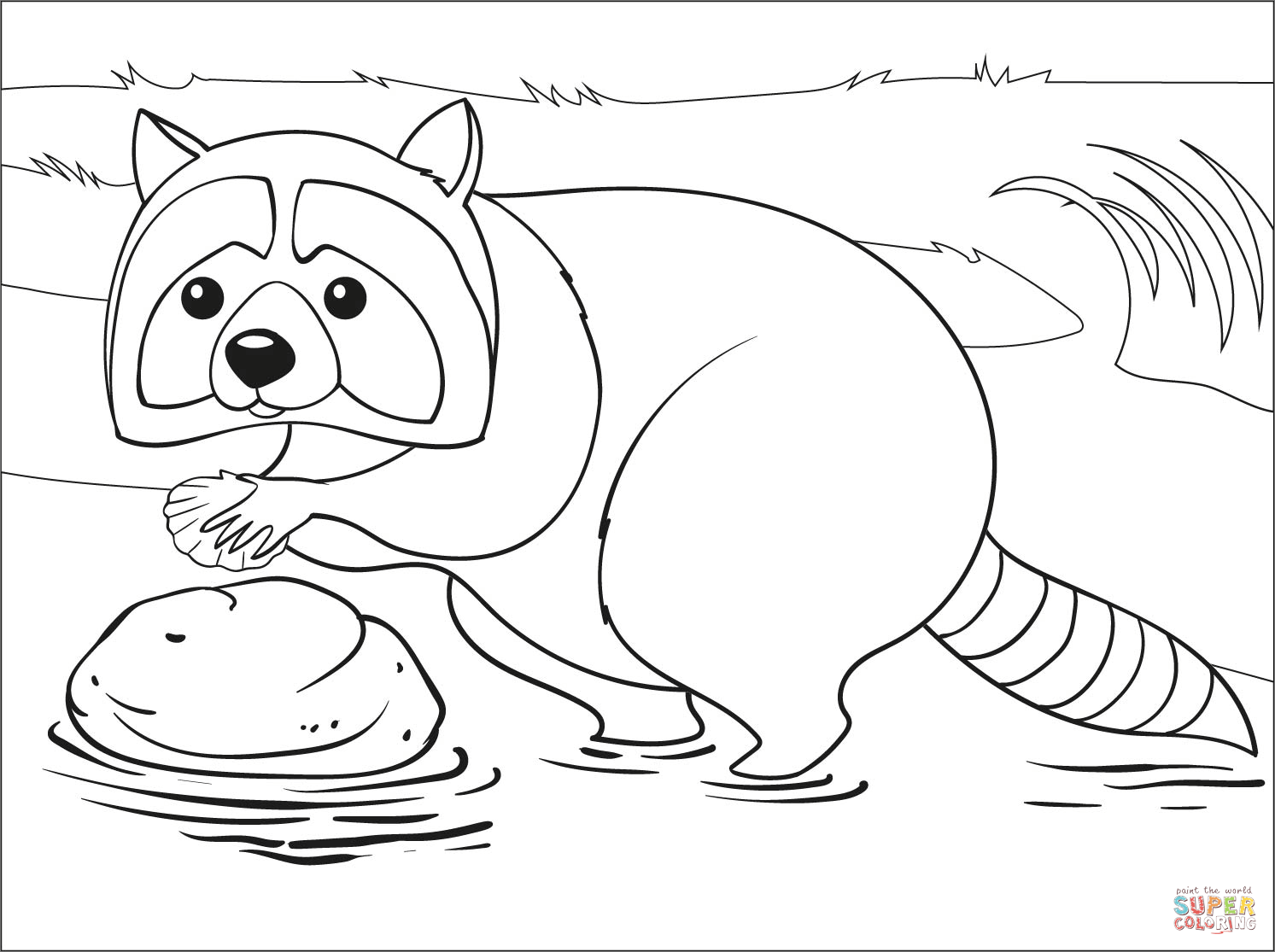 Raccoon coloring page free printable coloring pages