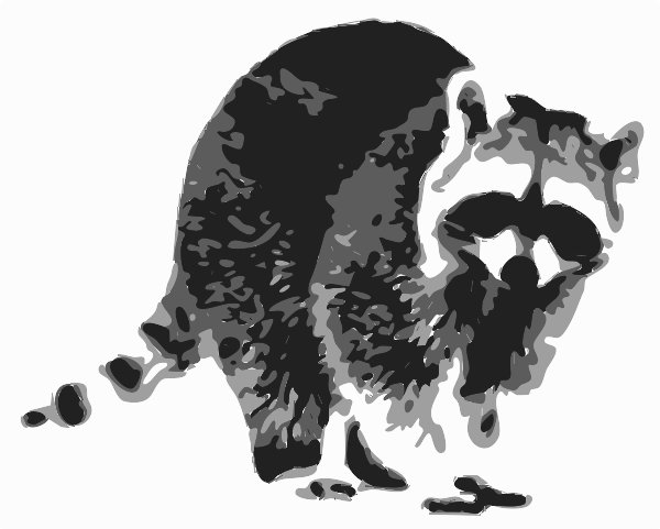 Raccoon stencil in layers