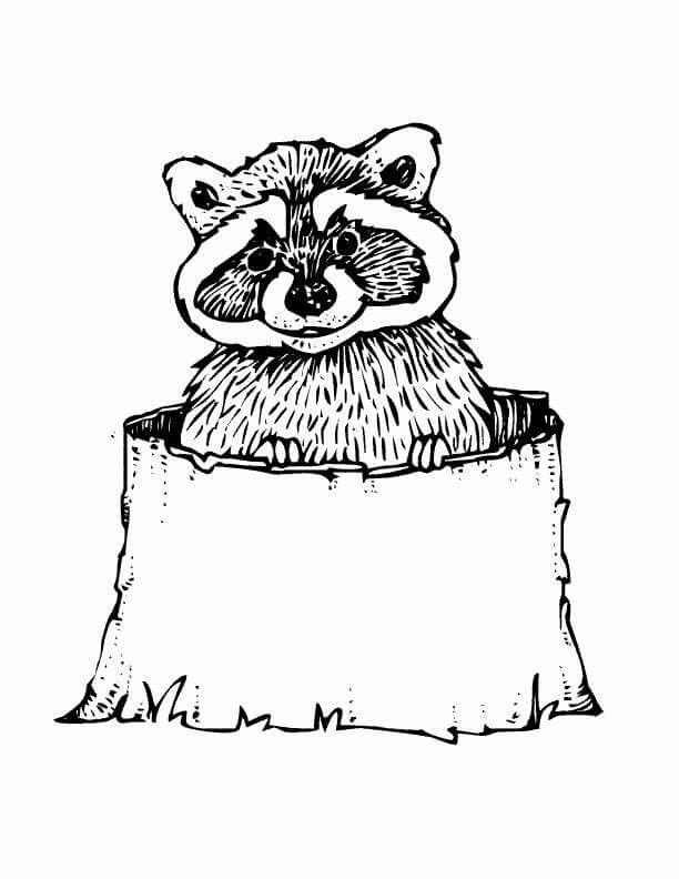 Racoon coloring page animal coloring pages coloring pages animal coloring books