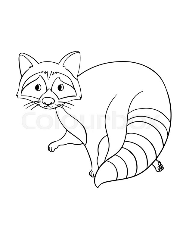 Racoon isolated coloring page for kids stock vector