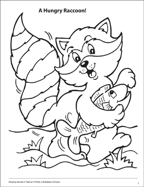 A hungry raccoon amazing animals coloring page printable coloring pages