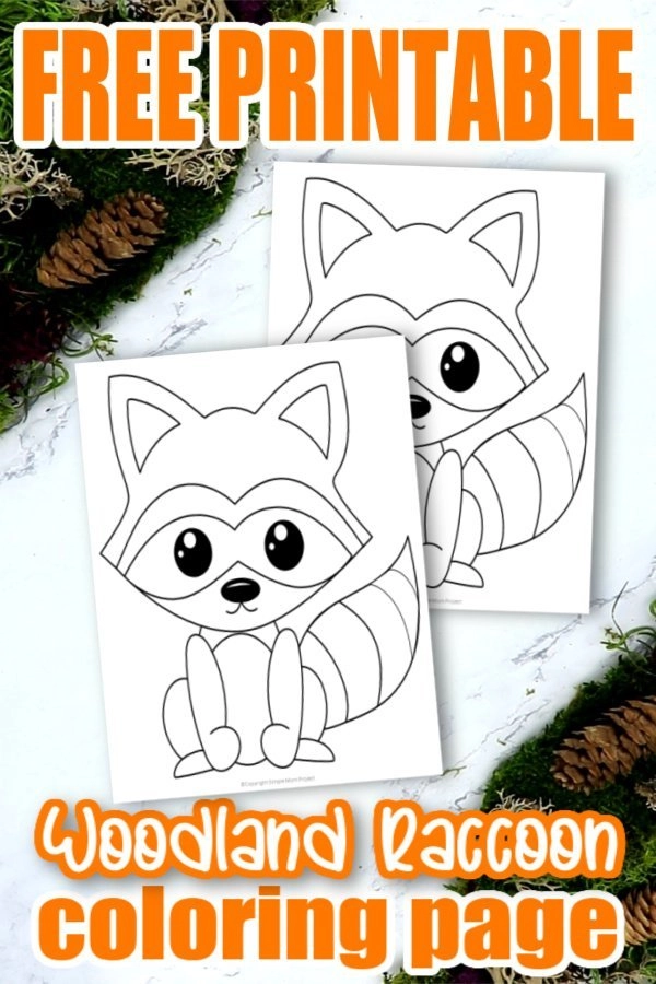Free printable forest raccoon coloring page â simple mom project
