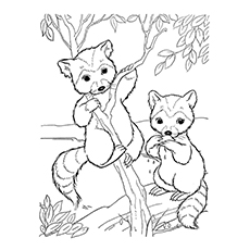 Funny raccoon coloring pages your toddler will love to color