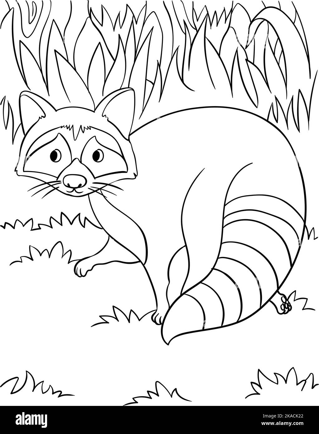 Racoon coloring page for kids stock vector image art