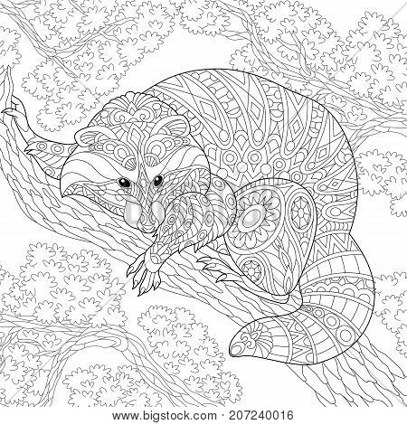 Coloring page raccoon vector photo free trial bigstock