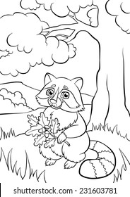 Racoon coloring page images stock photos d objects vectors