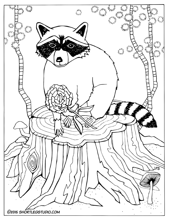 Flora and fauna coloring sheets â short leg studio