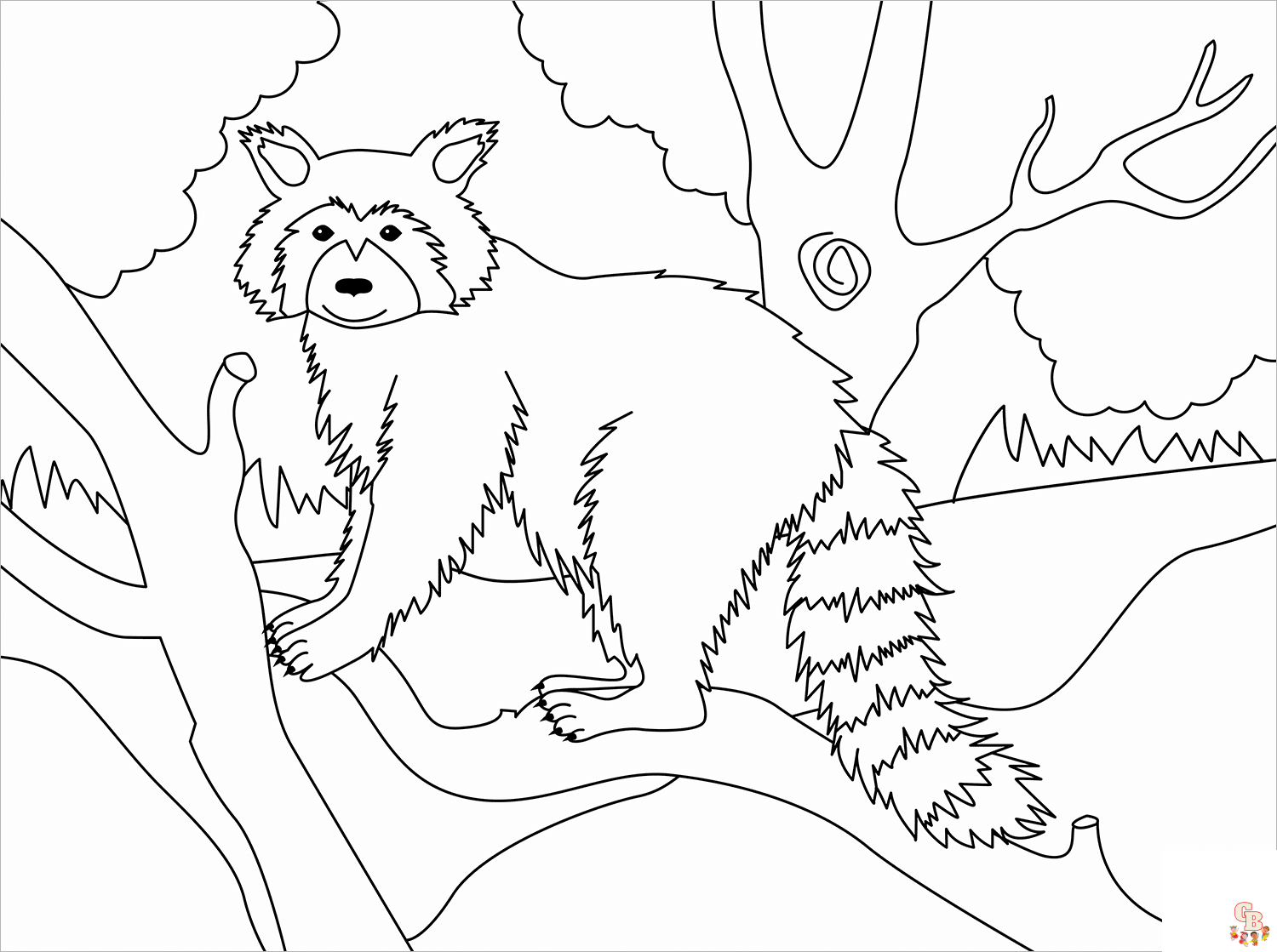 Cute raccoon coloring pages