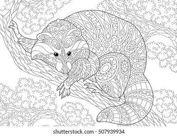 Raccoon coloring page images stock photos d objects vectors