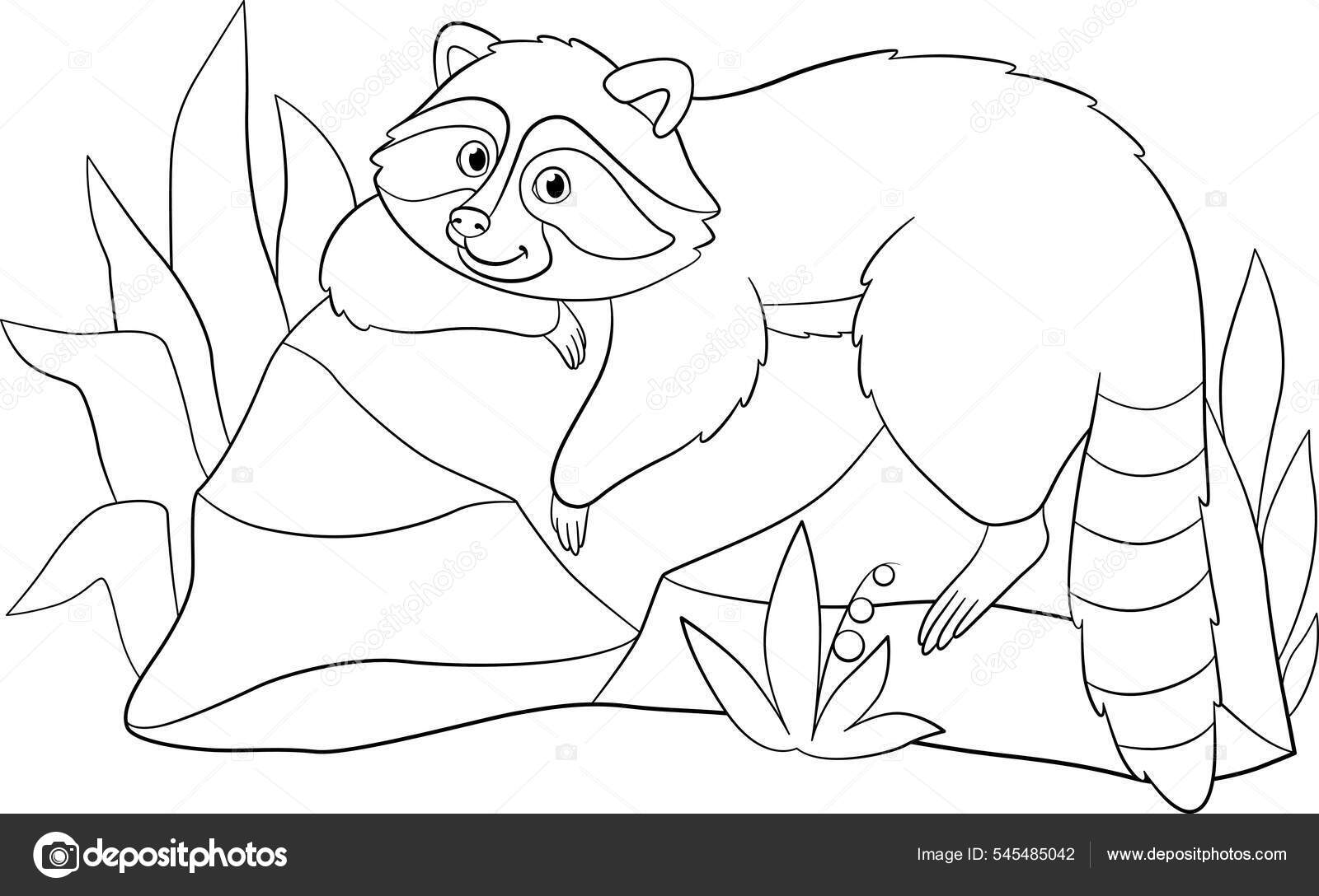 Coloring page cute smiling raccoon rests stone stock vector by ya