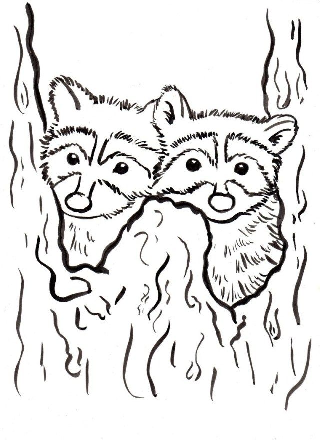 Adorable raccoon coloring page