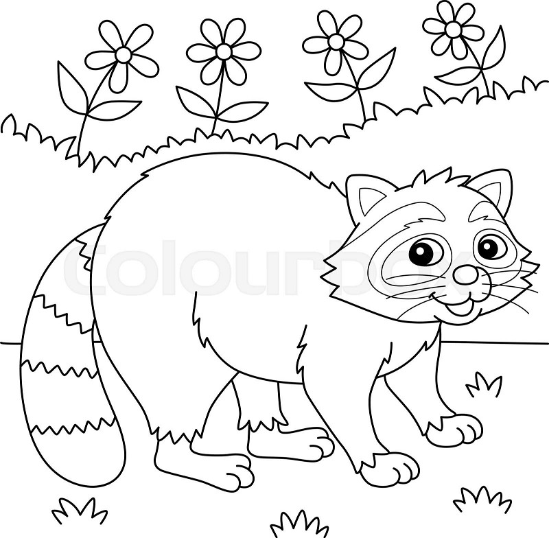 Racoon animal coloring page colored illustration stock vector