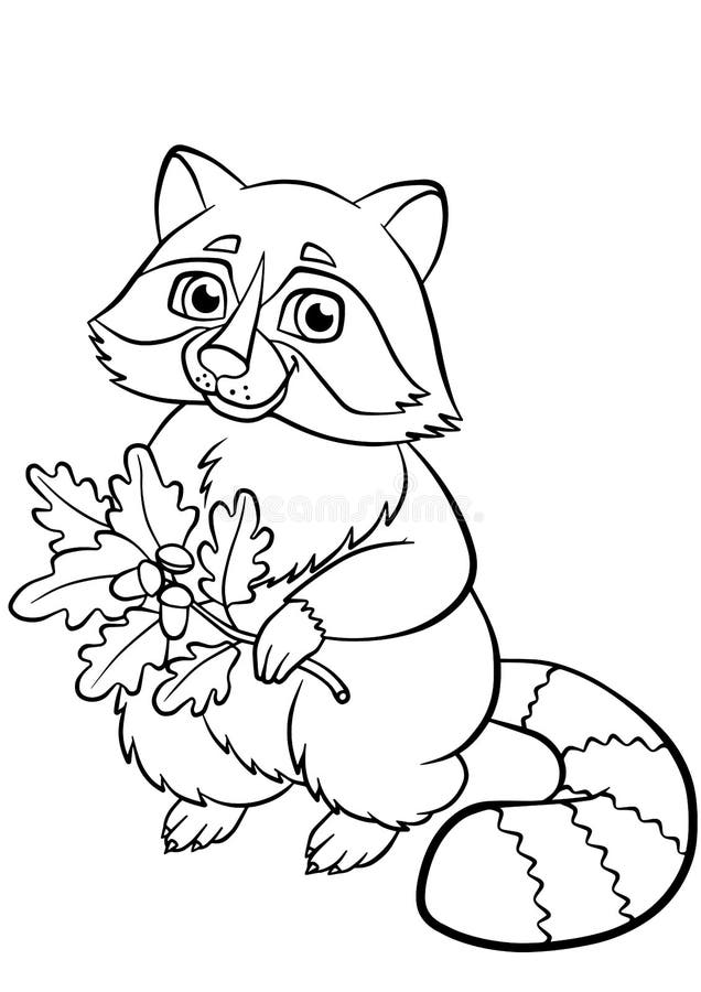 Coloring pages animals little cute raccoon stock vector