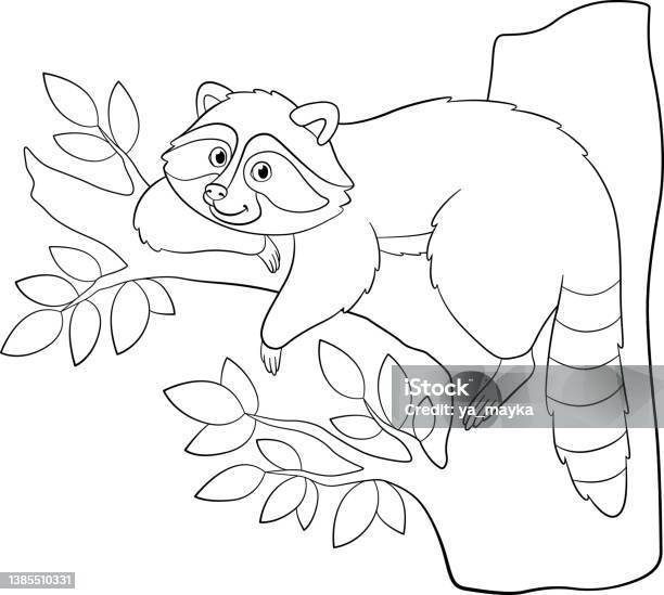 Cute raccoon coloring page for kids stock illustration