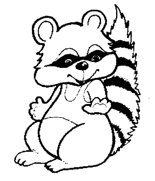 Raccoon in the tree coloring page