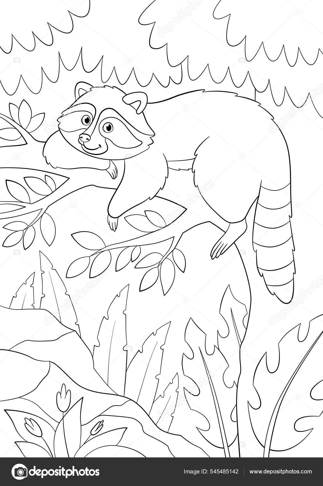 Coloring page cute smiling srtiped raccoon rests tree forest stock vector by ya