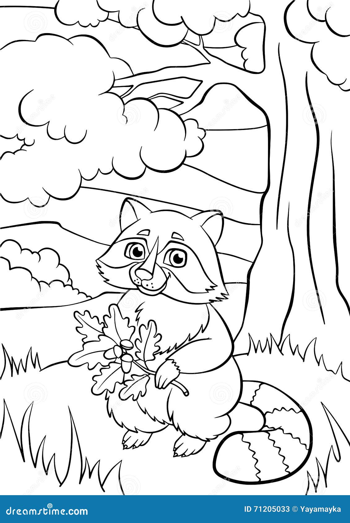 Coloring pages animals little cute raccoon stock vector