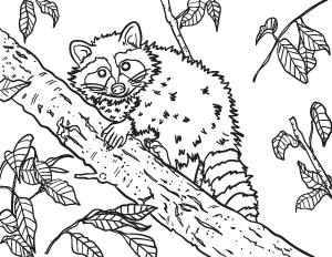 Free printable animal coloring pages page