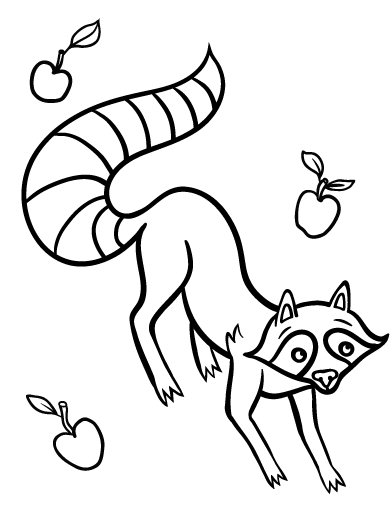 Free raccoon coloring page