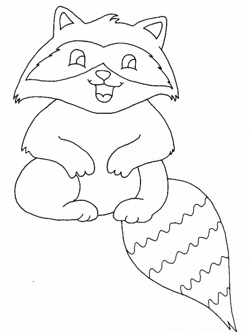 Free printable raccoon coloring pages for kids