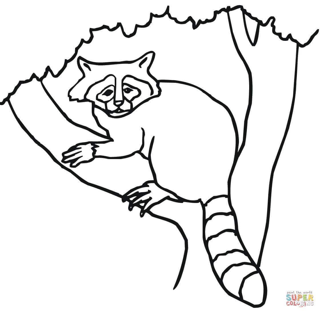 Raccoon on a tree coloring page free printable coloring pages