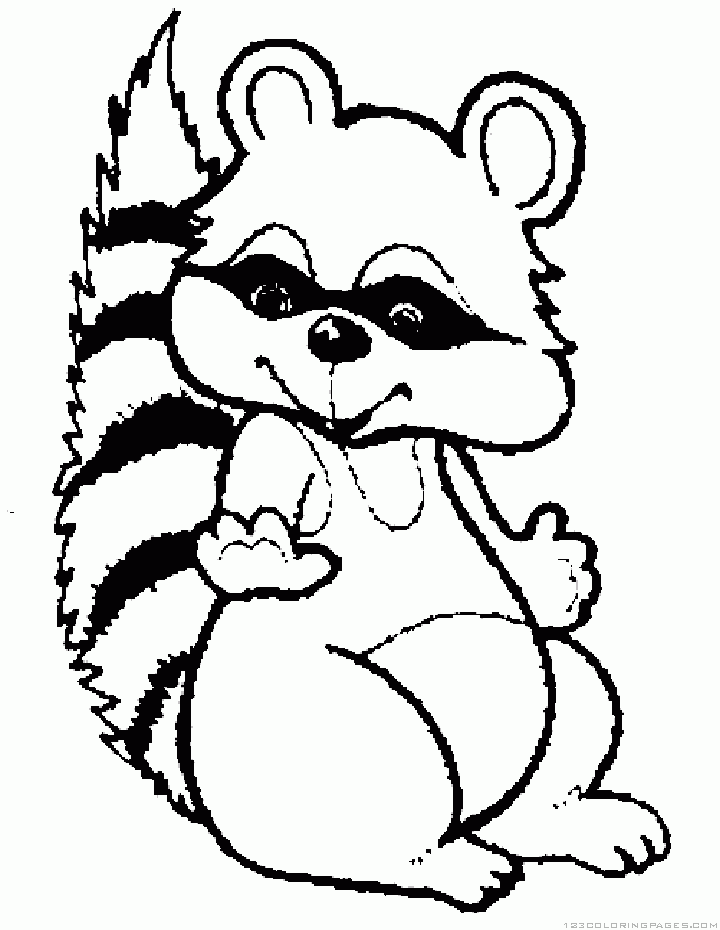 Raccoon coloring pages