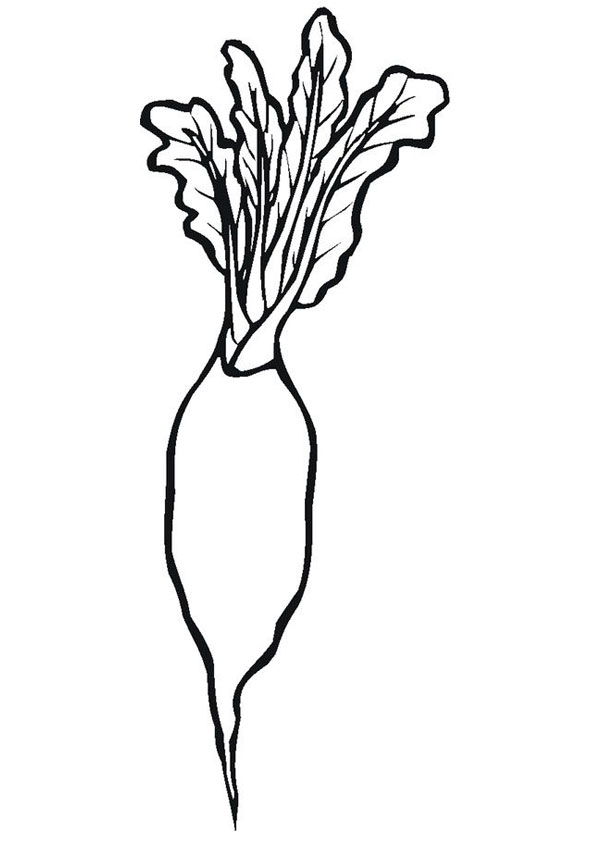 Coloring pages radish coloring page