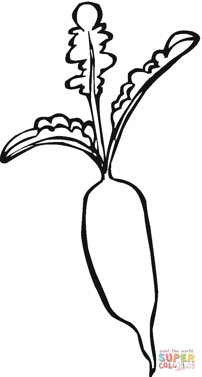 Radish coloring page free printable coloring pages in coloring pages printable coloring pages free printable coloring