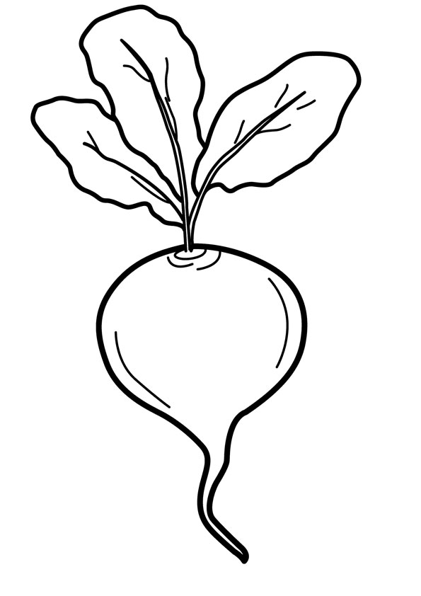 Coloring pages printable radish coloring page