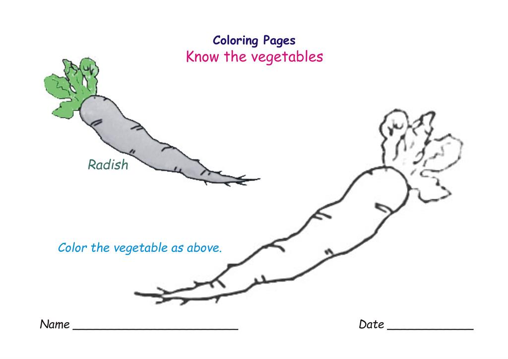 Vegetables coloring pages