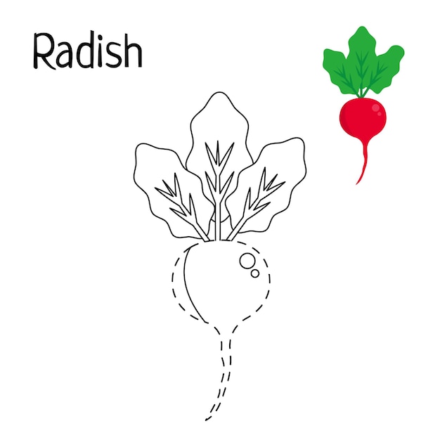 Premium vector vegetables radish coloring pages for kids