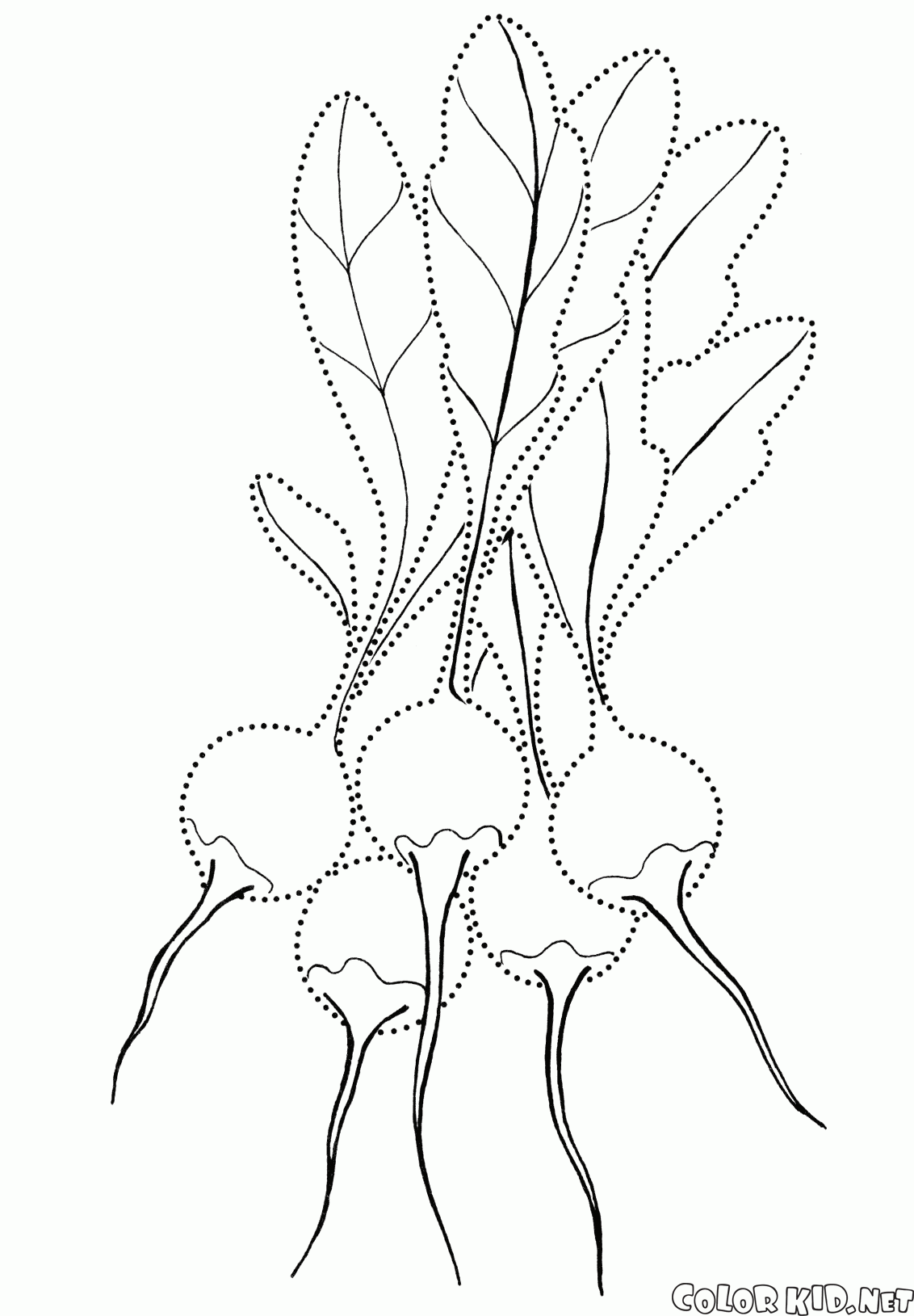 Coloring page