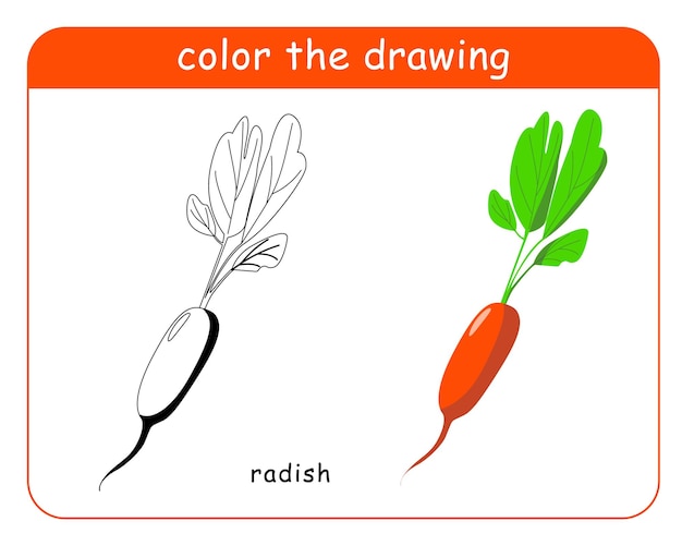 Premium vector coloring book for children radishes in color and black and white