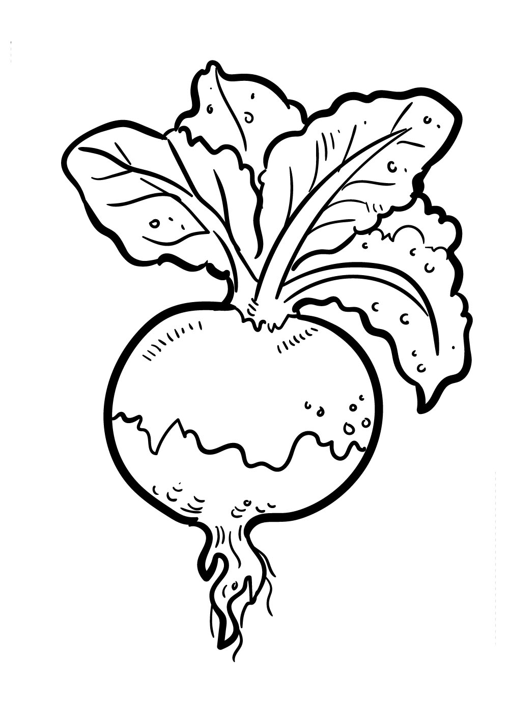 Radish coloring pages