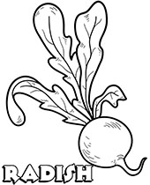 Olives coloring page picture for children