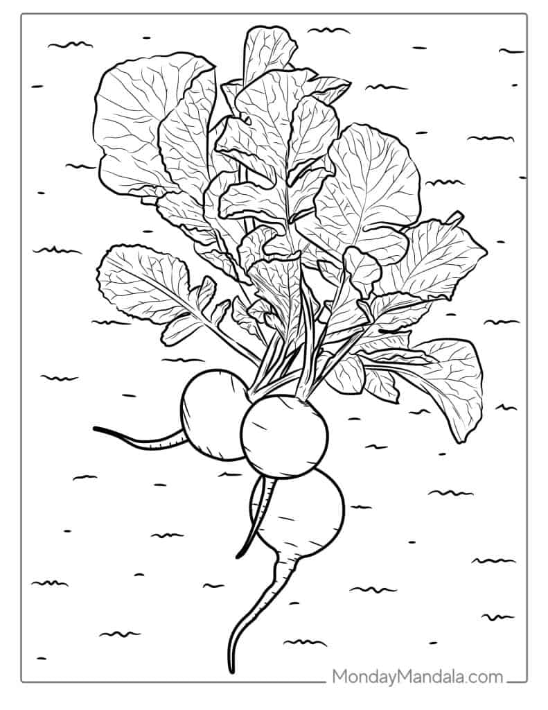 Vegetable coloring pages free pdf printables