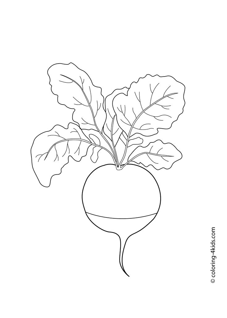 Radish vegetables coloring pages for kids printable free vegetable coloring pages coloring pages for kids toddler coloring book