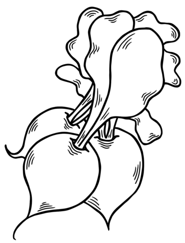 Radish coloring page free printable coloring pages