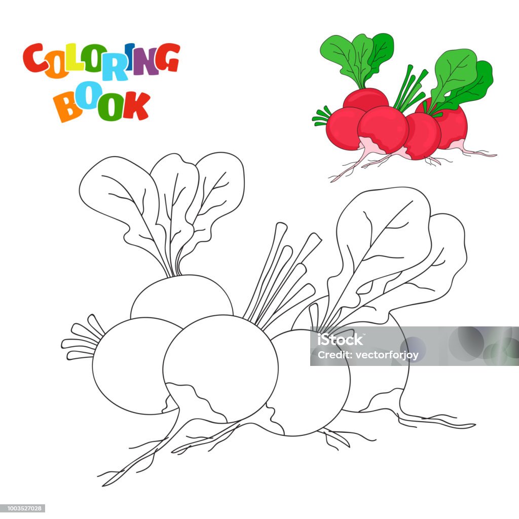 Coloring book page for preschool children with outlines of radish and a colorful copy of it vector illustration for kids education stock illustration