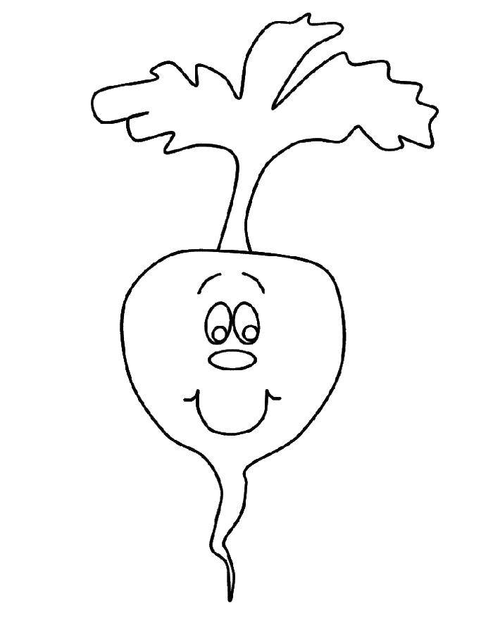 Online coloring pages coloring page radishes vegetables download print coloring page