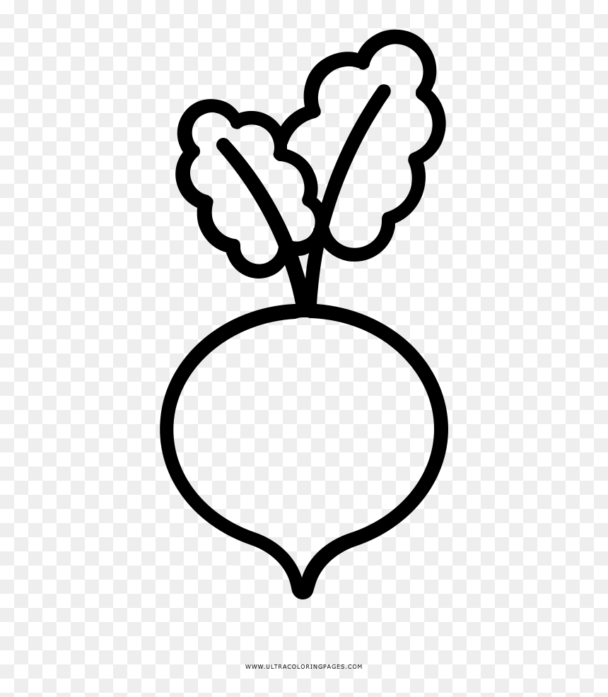 Radish coloring pages png